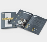 Business Proposal Profile Business Proposal Profile