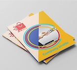 E-commerce Business Profile E-commerce Business Profile