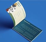 Non-Profit Organization