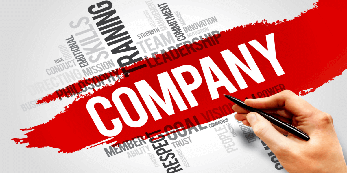 company profile writing service